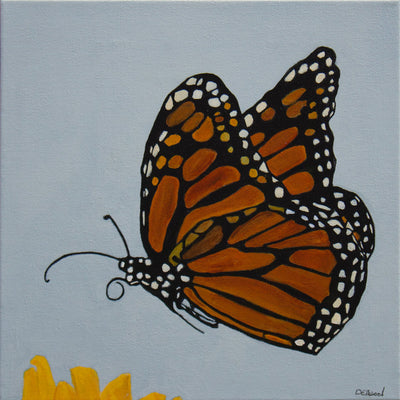 Butterfly Of Freedom