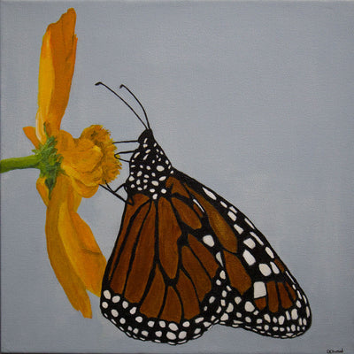 Butterfly Of The Sun