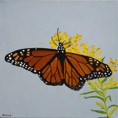 Messenger From The Beyond