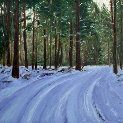 Snowy Woods