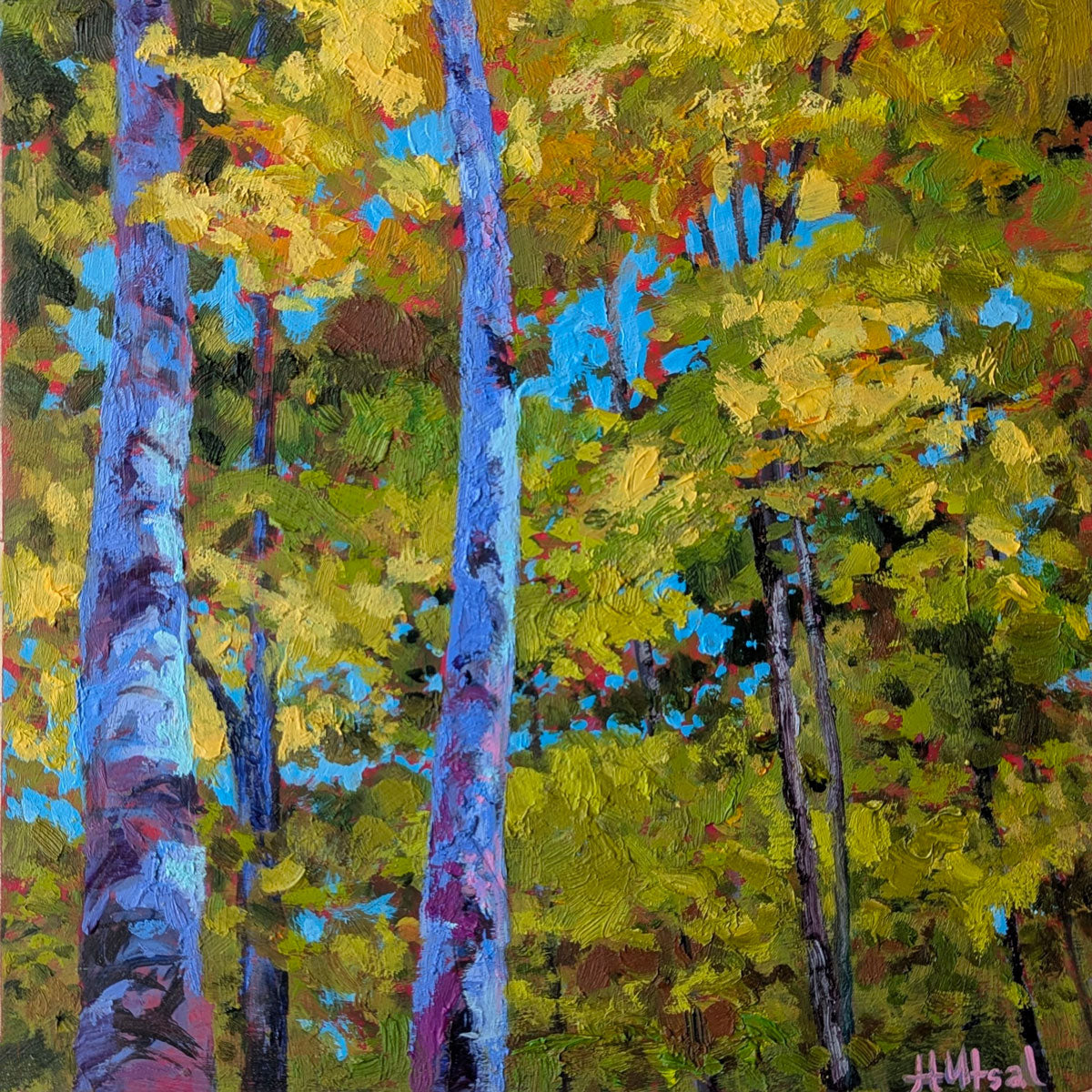 Birch And Bright Light