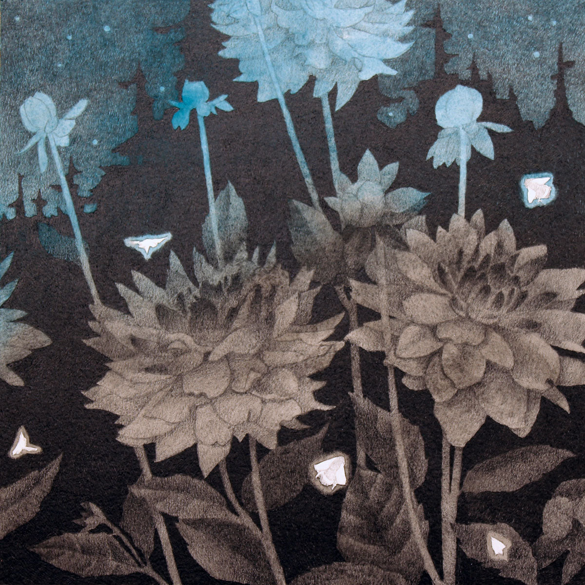 Midnight Dahlias I