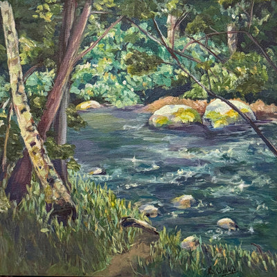 On The Quinsam Trail