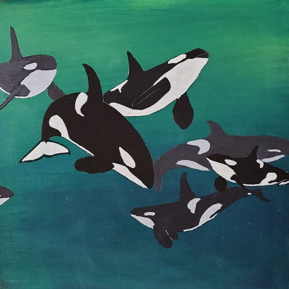 Orca Play I