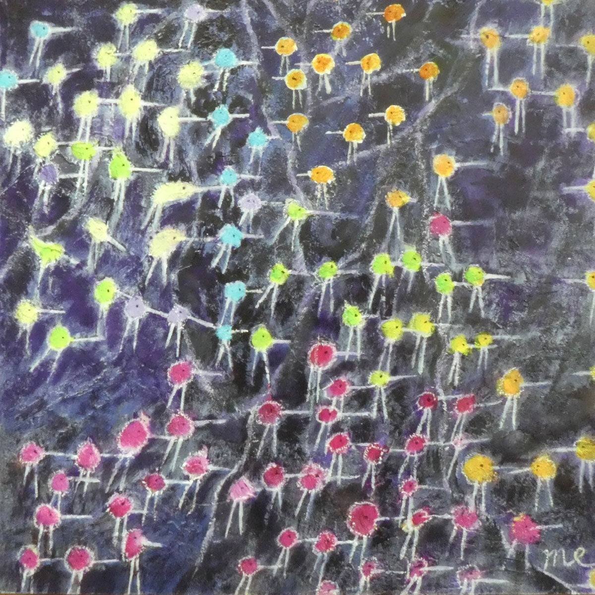 Borders Are For The Birds Not