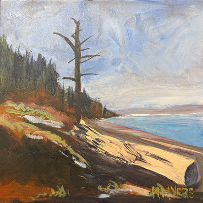 Lonely Tree And The Log