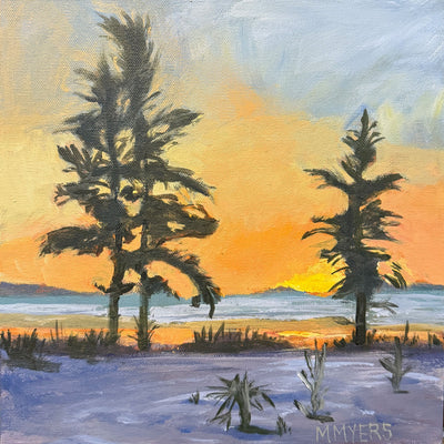 Snowy Sunset At Tofino