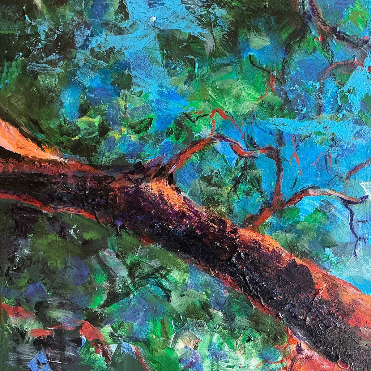 Witty's Lagoon Arbutus I