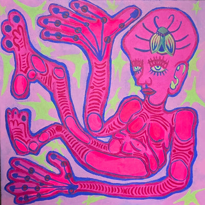 Beautiful Bug In A Box