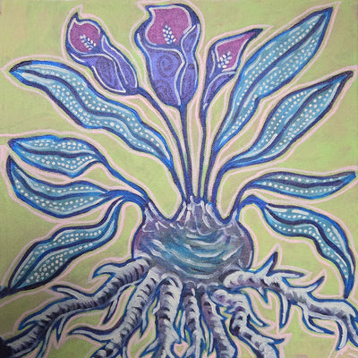 Calla Lillies With Root Ball